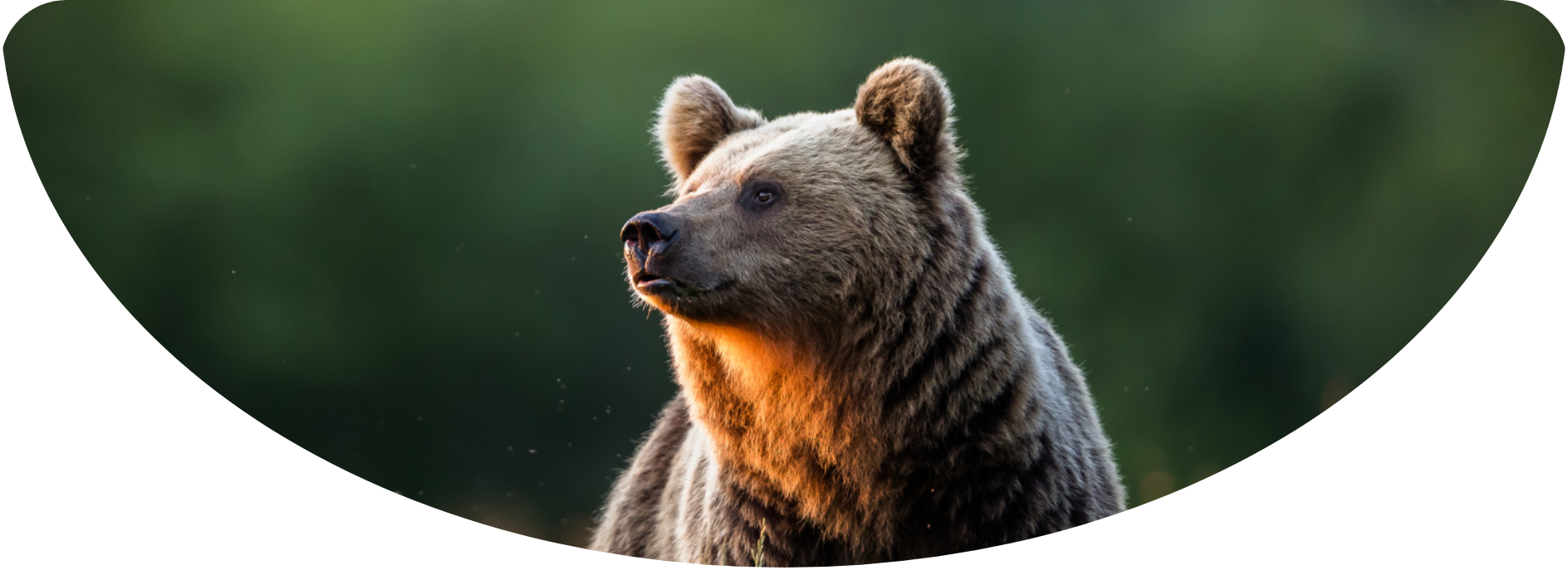 Featured image for the training