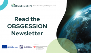 OBSGESSION Newsletter:  The June 2025 issue is out now