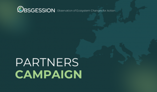 New social media campiagn: Partners