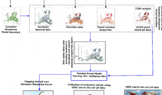 Soil pH from above: Using satellite data to protect Europe’s forest productivity