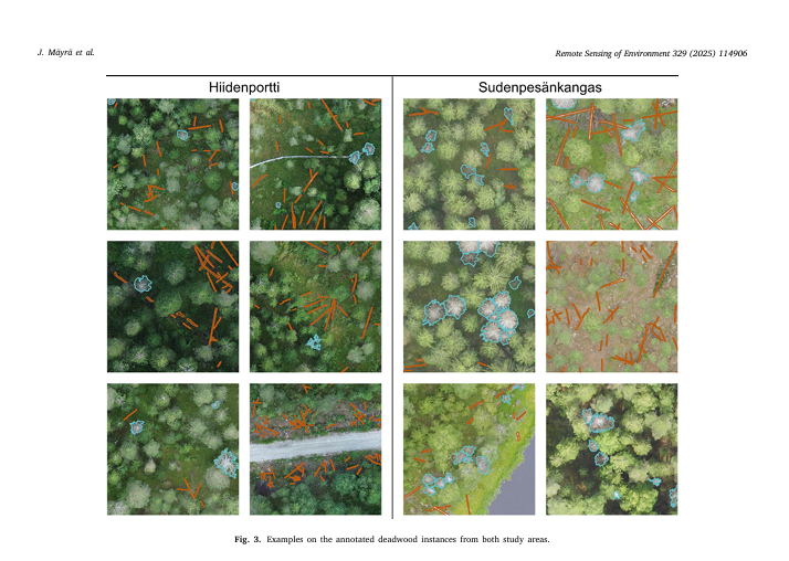 How drones and AI are mapping deadwood in Finnish forests