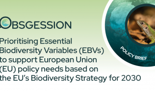 OBSGESSION publishes a policy brief on prioritising Essential Biodiversity Variables to support European Union policy needs