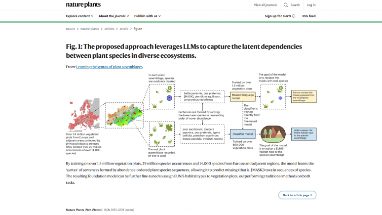 Grammar and plants? New publication on plant communities patterns