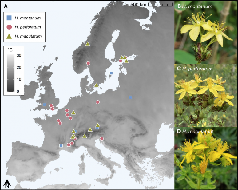 New publication featuring OBSGESSION has been published in the Ecology and Evolution journal